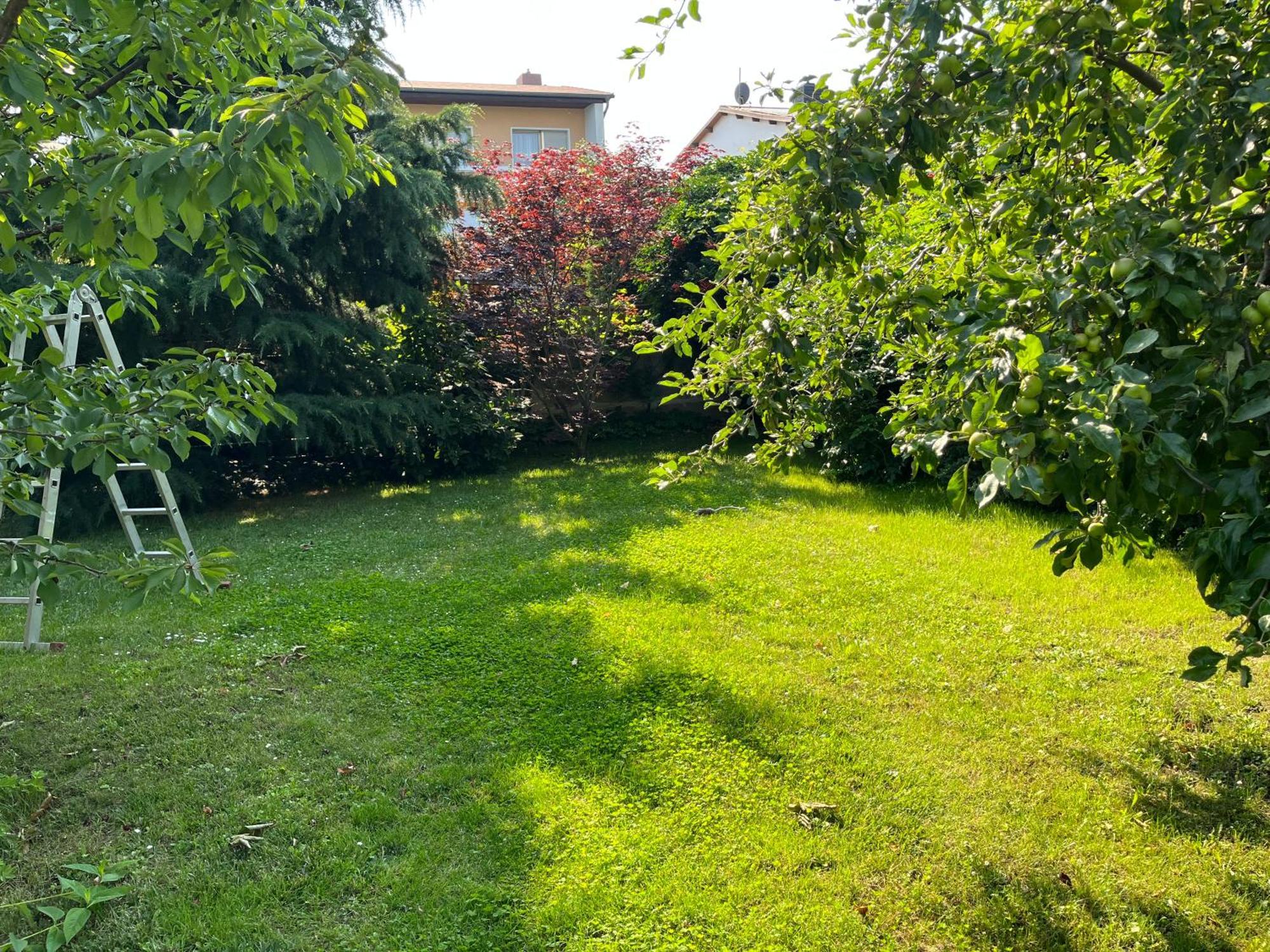 Apartament Elbidyll Magdeburg Zewnętrze zdjęcie