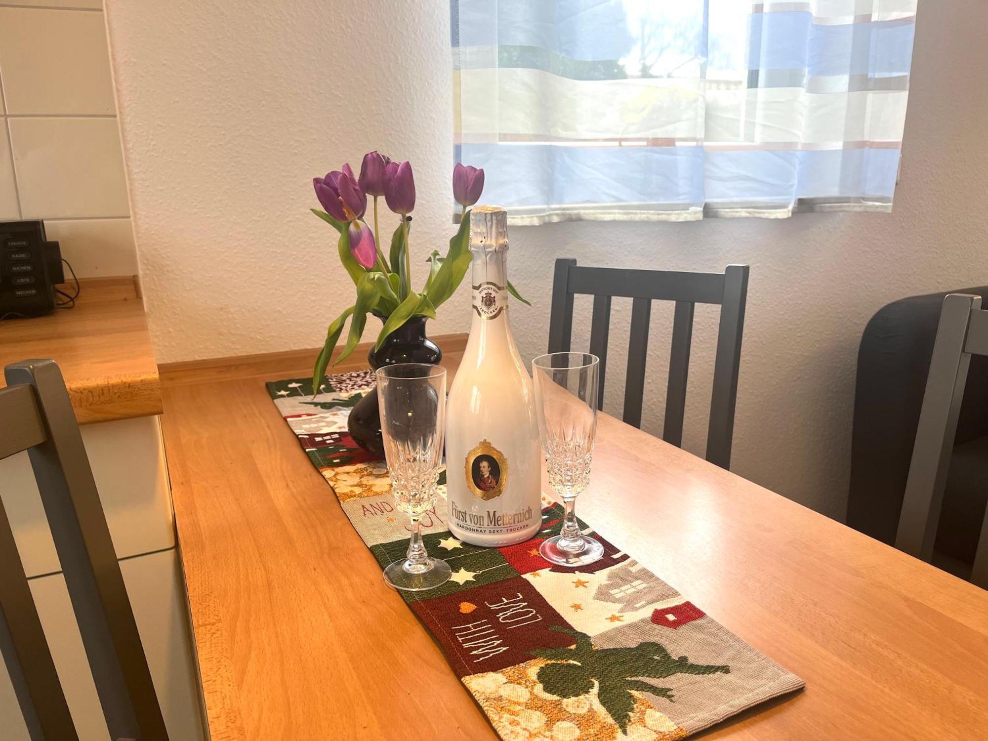 Apartament Elbidyll Magdeburg Zewnętrze zdjęcie